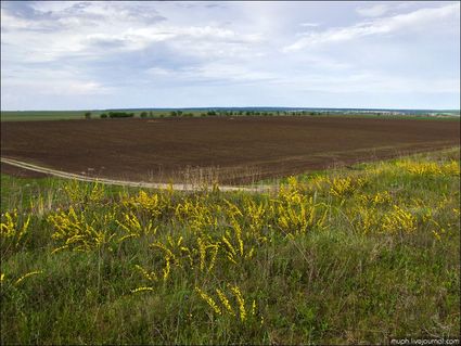 Кривоборье