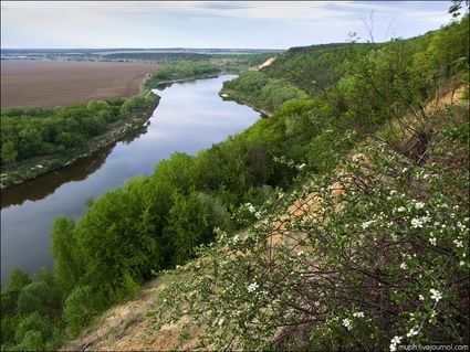 Кривоборье